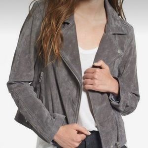 BlankNYC gray suede moto jacket large